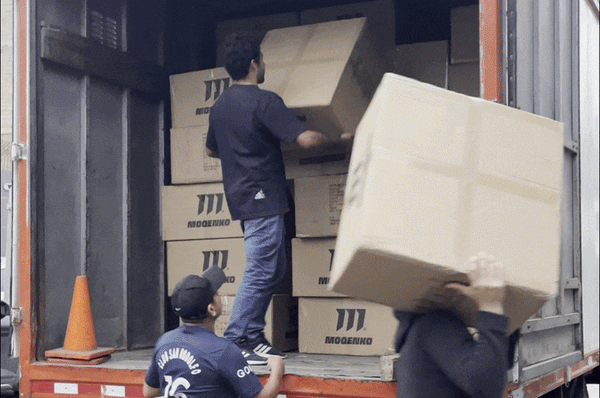 Primera gran importación