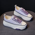 Morado / 37